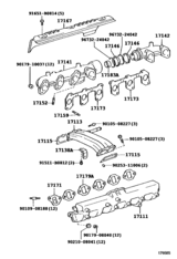 Manifold