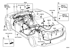 Wiring & Clamp