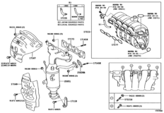 Manifold