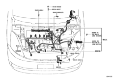 Wiring & Clamp