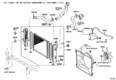 Radiator & Water Outlet