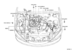 Wiring & Clamp