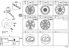 Disc Wheel & Wheel Cap
