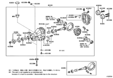 Rear Axle Housing & Differential