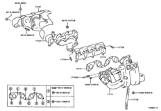 Manifold