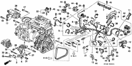 Engine wire harness/clamp