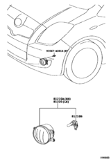 Fog Lamp