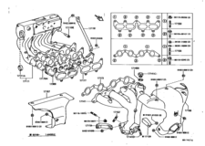 Manifold