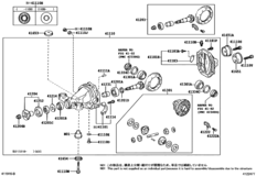 Rear Axle Housing & Differential