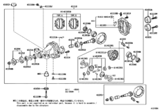 Rear Axle Housing & Differential